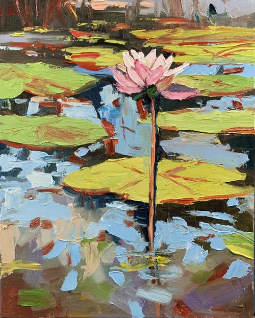 Water Lily pond. by Vita Schagen