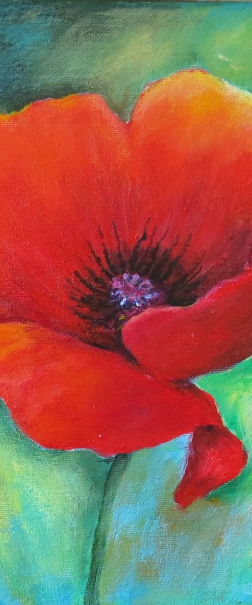 Perfect Poppy by Maureen Greenwood