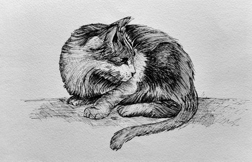 Cat (life size) by Syed Akheel