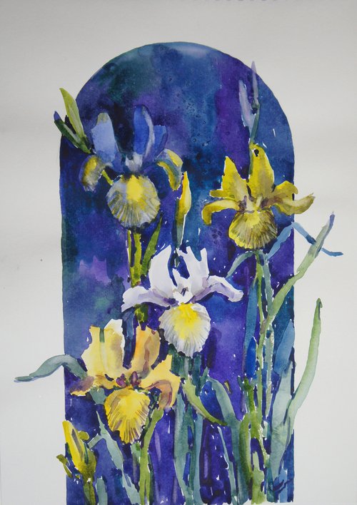 Irises by Elena Sanina