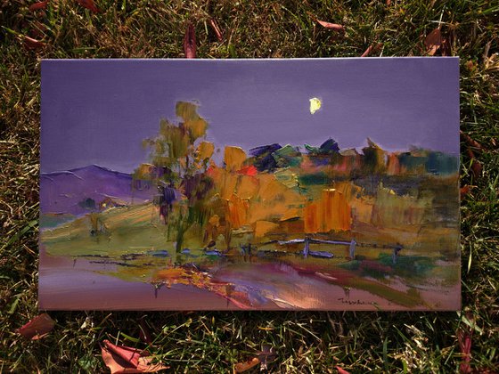 Evening landscape. Moon over the fields. In the mountains. Original oil painting