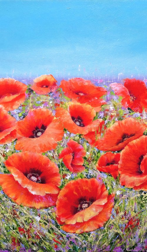 Poppies with wild flowers. by Anastasia Woron