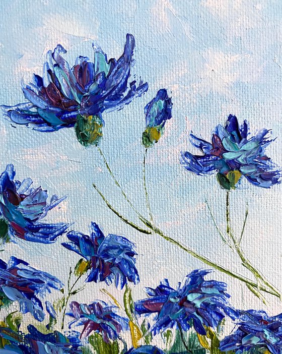 Lovely cornflowers