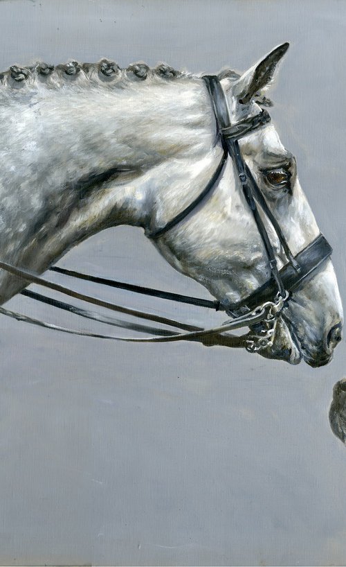 Horse and foxhound equestrian by Una Hurst