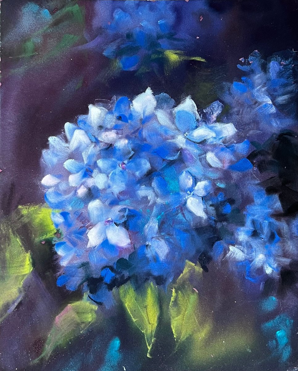 Blue Hortensia by Yana Ivannikova