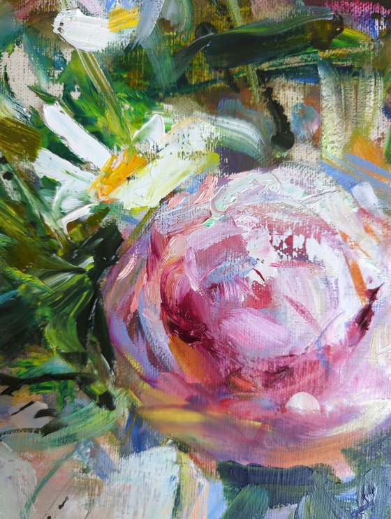 Peonies in the morning garden