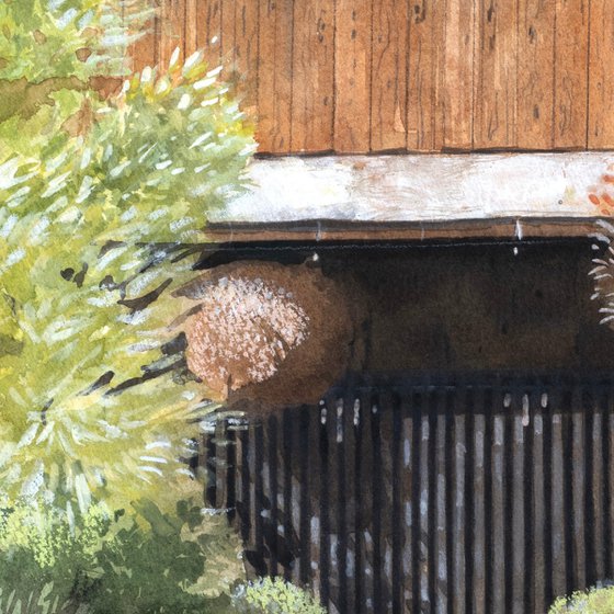 Japanese House and Garden with Sugidama