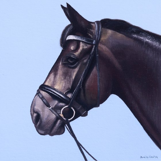 Horse Portrait 7