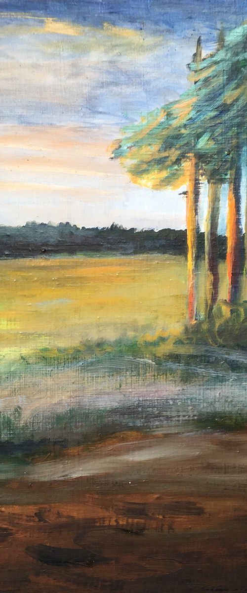sunset pine trees by René Goorman
