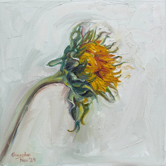 Wilting Sunflower