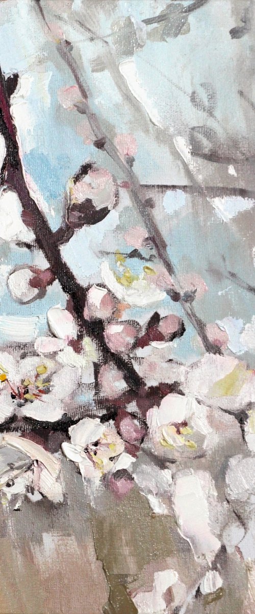 Floral painting - Bloosoms cherry tree - Square painting by Yuliia Meniailova