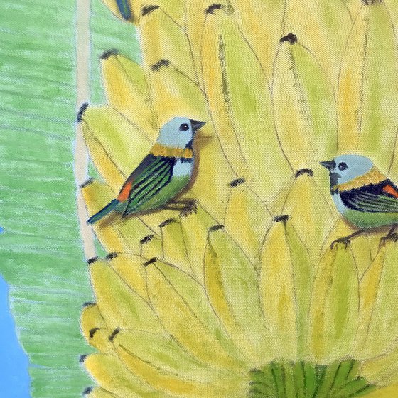 BIRDS OF A FEATHER BRAZIL