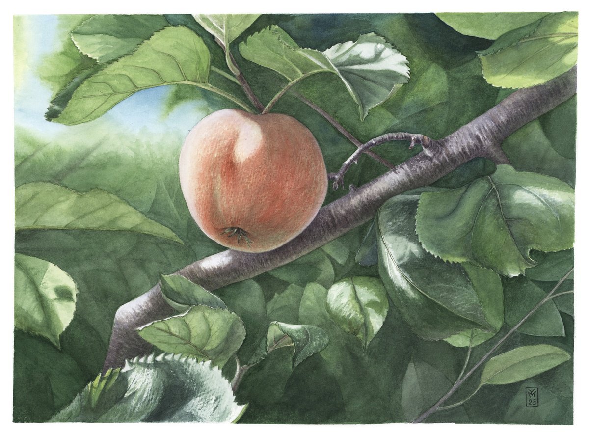 Apple Branch by Yuliia Moiseieva