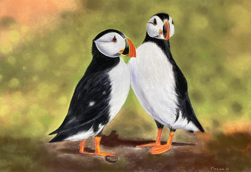 Puffins by Maxine Taylor
