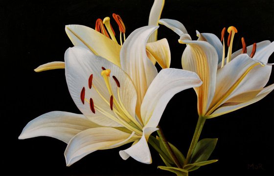 White Lilies