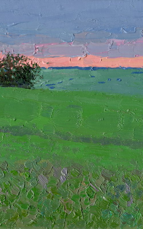 Sunset in a pea field by Simon Kozhin