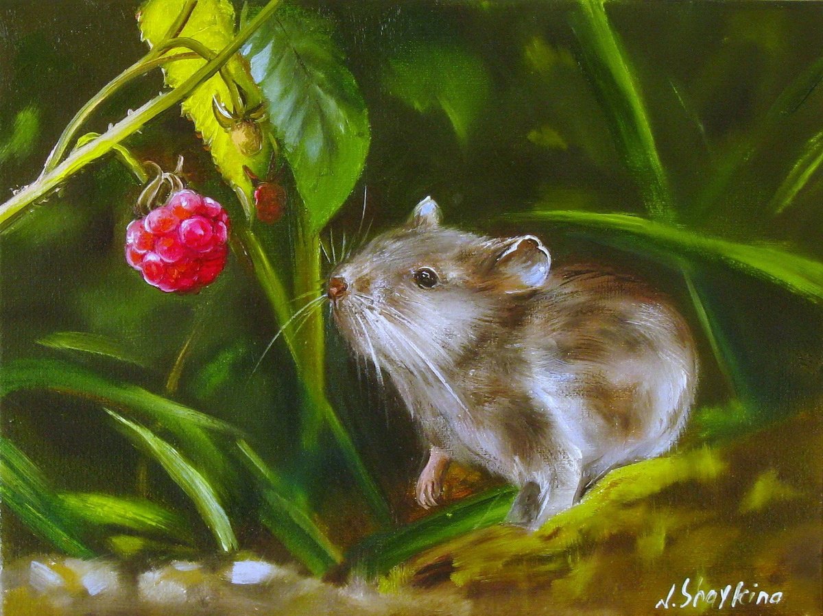 Cute Field Mouse With Raspberry By Natalia Shaykina, 9 X 7, Artwork For Sale On Artfinder