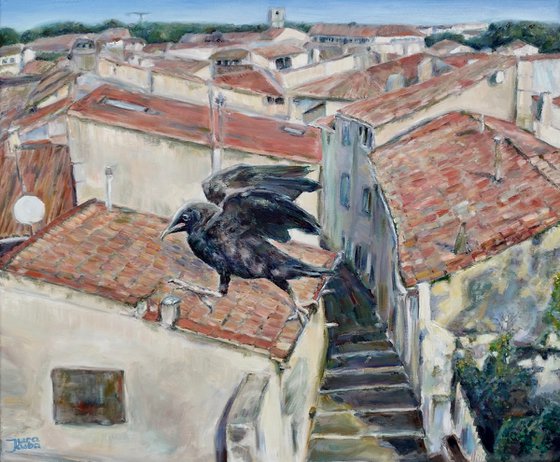 Crow On The Roof in Montpellier