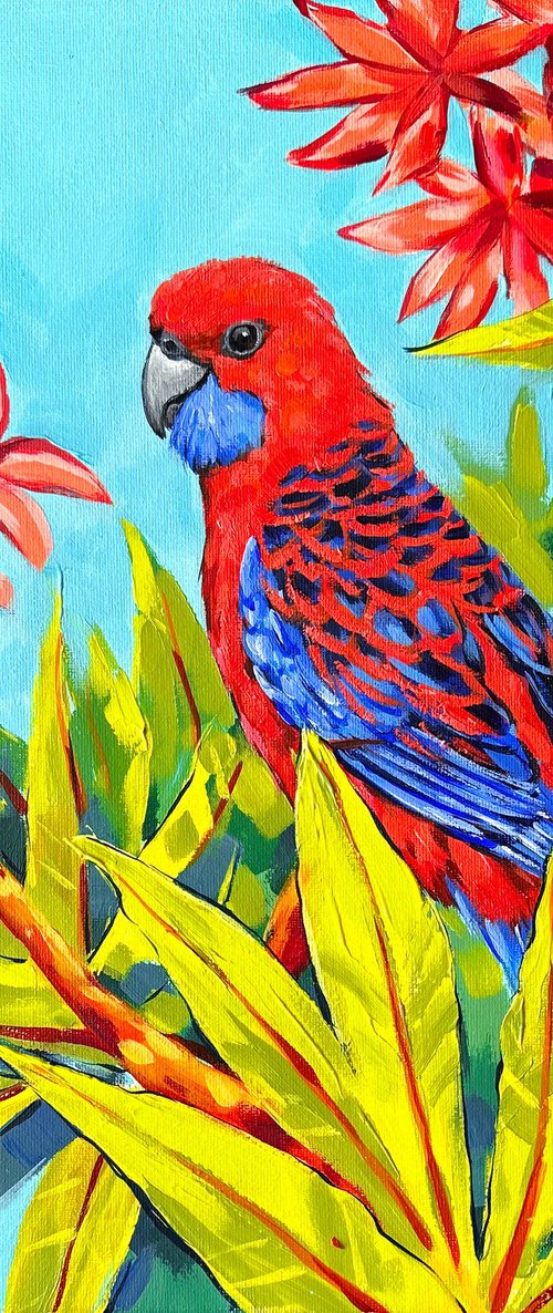 Crimson rosella by Irina Redine