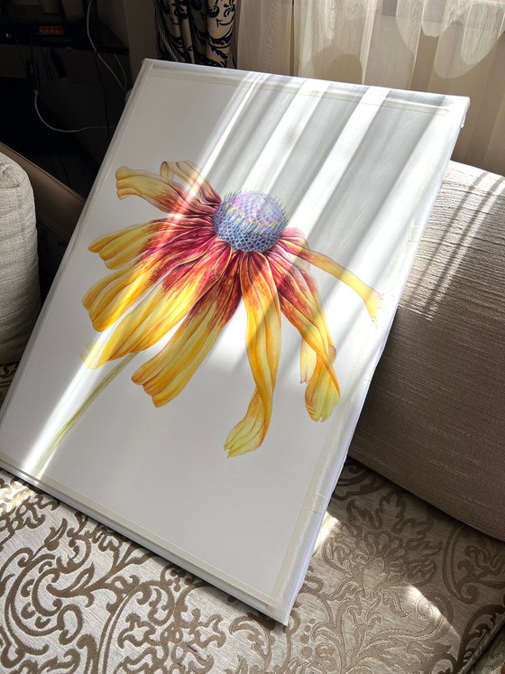 Greetings to the sun