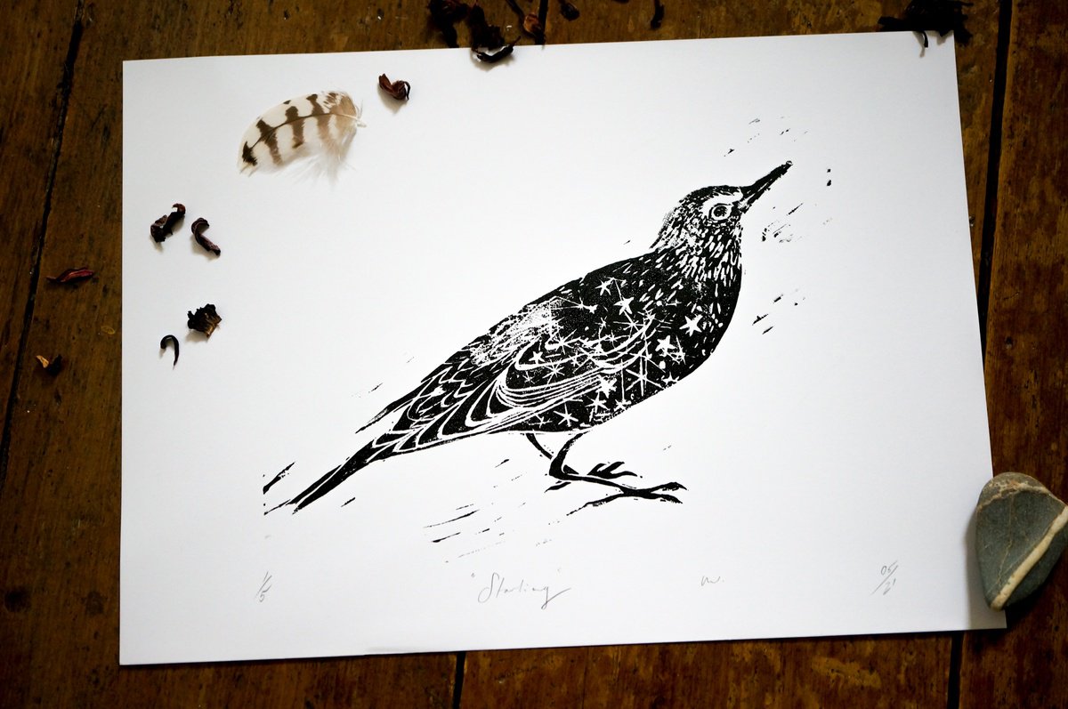 Starling by Victoria Lucy Williams