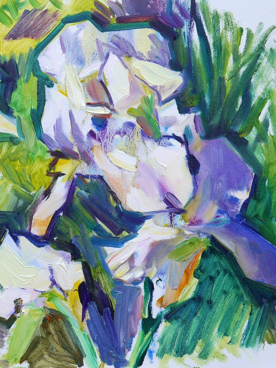 Impressionistic Botanical Oil Painting By Dima Braga, 24 X 16, White Irises (Plein Air), Original Artwork