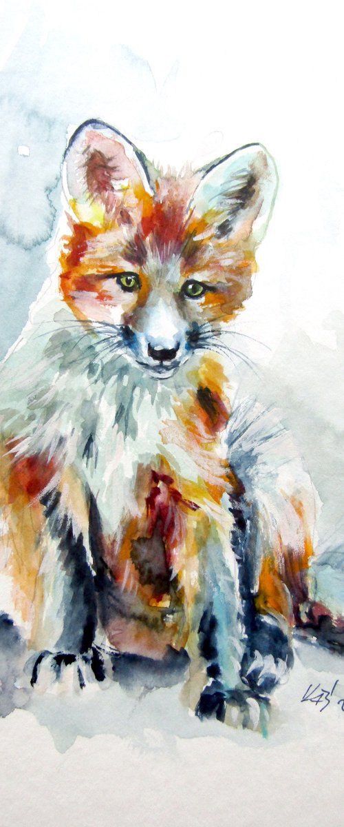 Red fox cub by Kovács Anna Brigitta