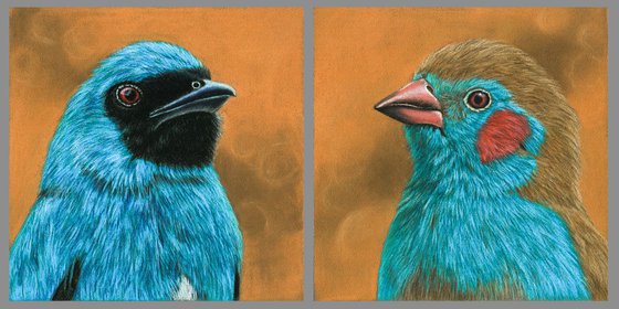 Original diptych pastel drawing birds "Azure portraits"