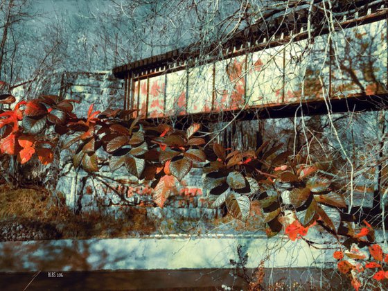 Autumn Leaves by Train Trestle