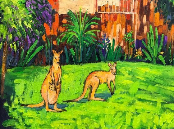 Kangaroo Family