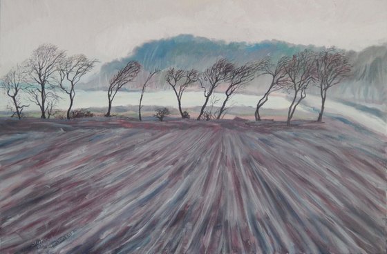 Winter Trees Near Pittenweem