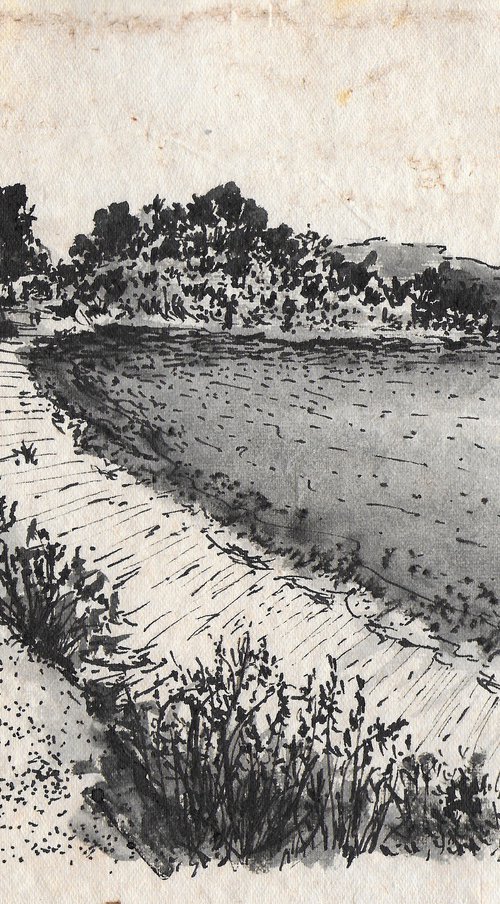 Cunda / Shaded Field by Gozde Temiz Istanbul