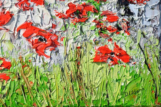 A Meadow Full Of Poppies