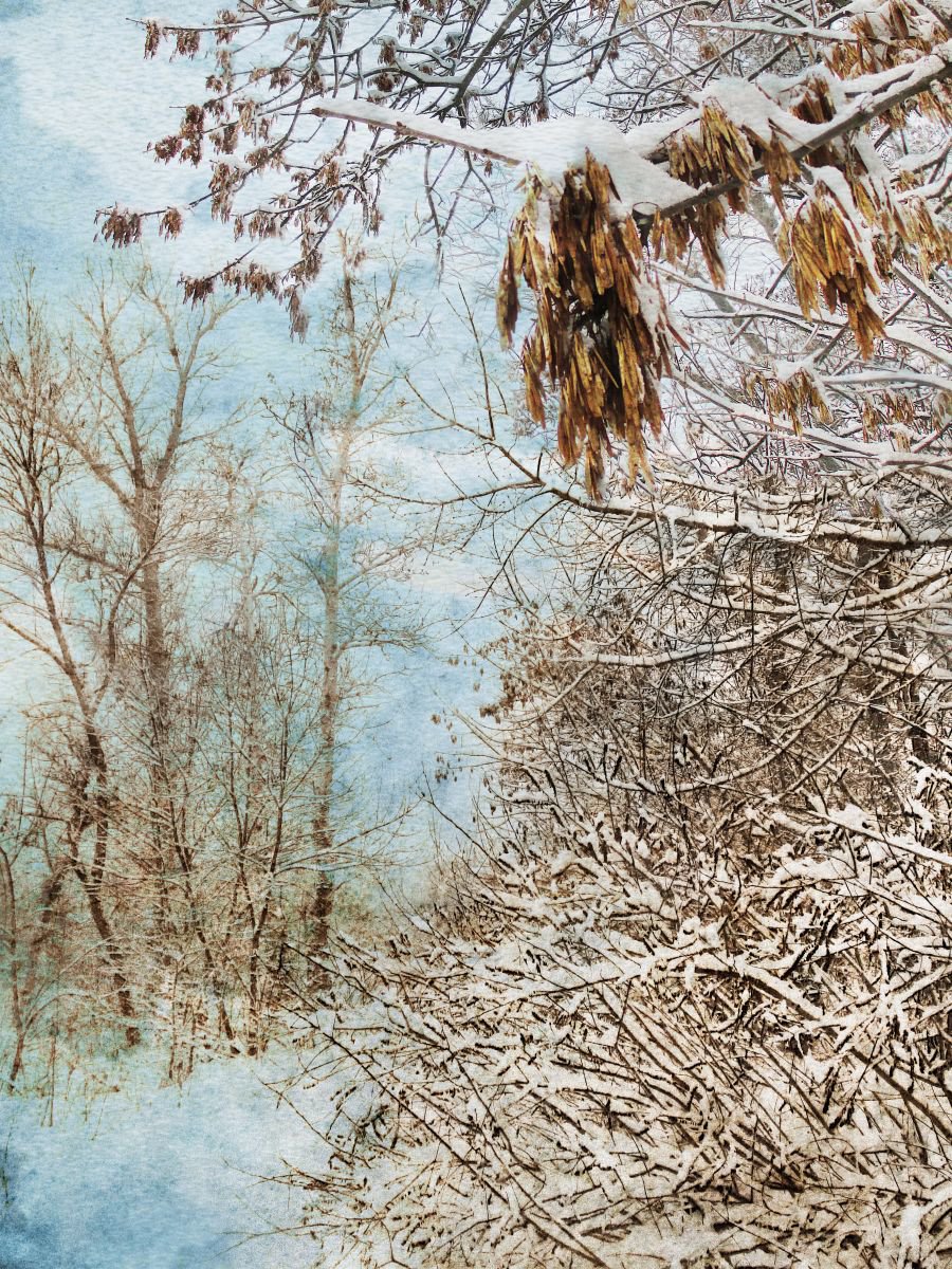 Winter crop by Julia Gogol