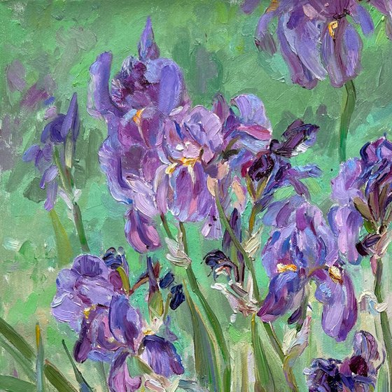 «Irises»