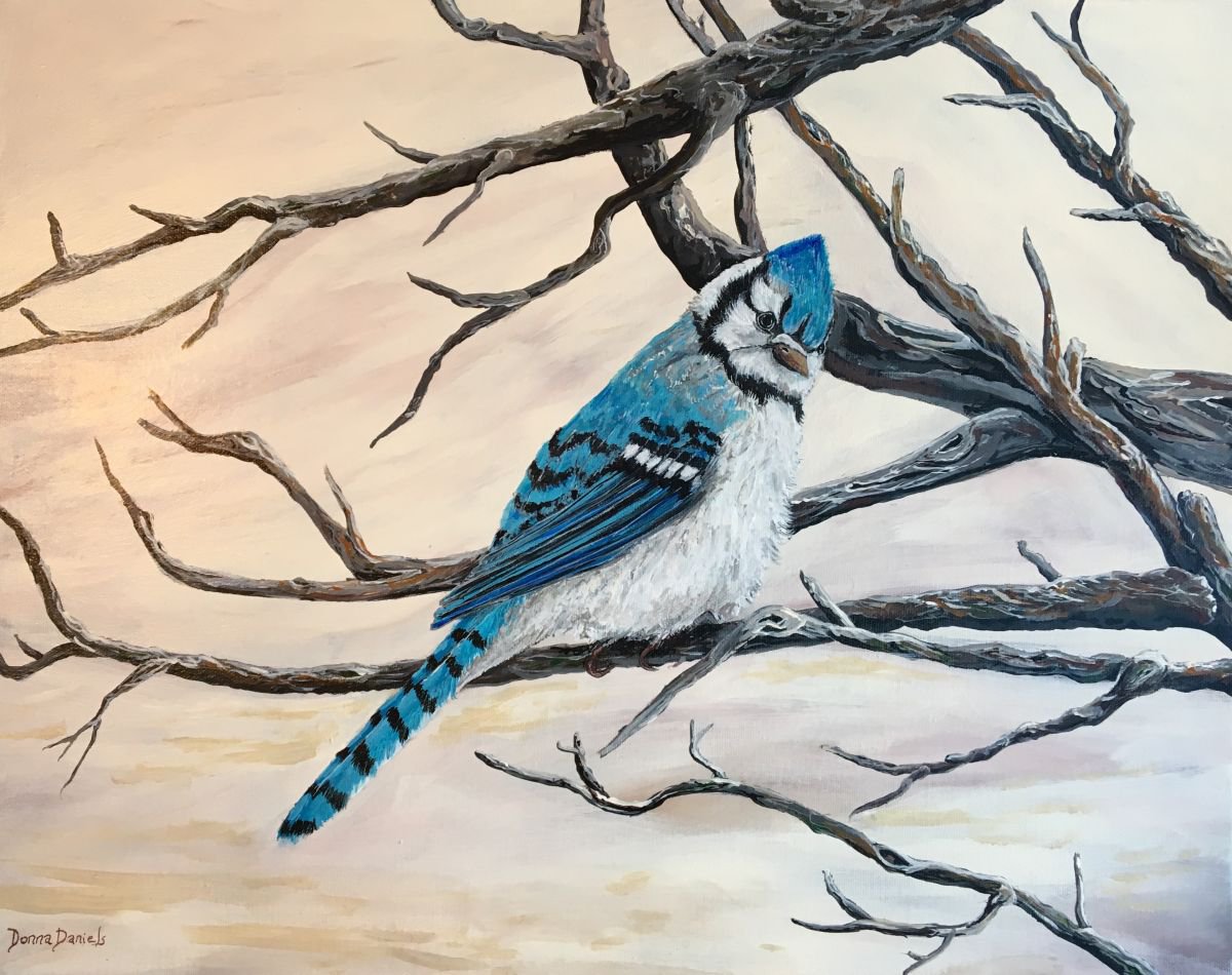 Photorealistic Animal Acrylic Painting By Donna Daniels, 20 X 16, Sassy Blue Jay, Original Artwork