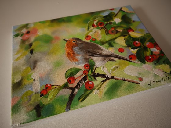 Robin with Red Berries