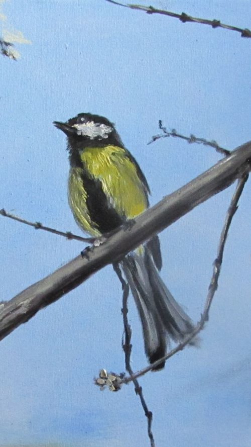 Sunny bird by Valeriia Radziievska