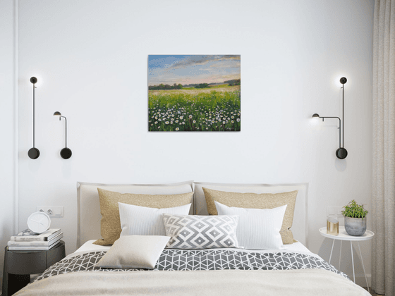 Field of daisies
