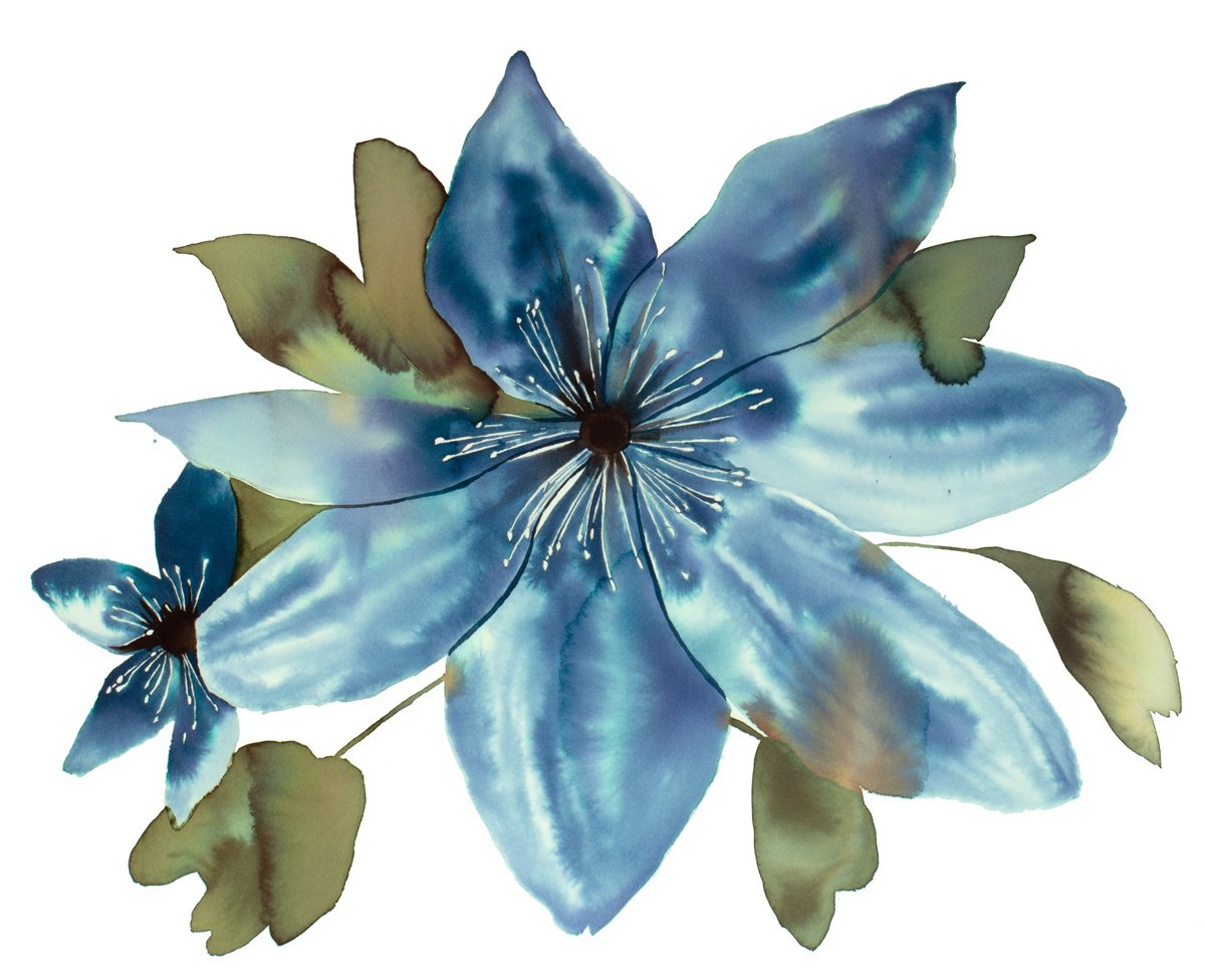 Expressive Botanical Watercolour By Elizabeth Becker, 20 X 16, Anemone No. 7, Original Artwork