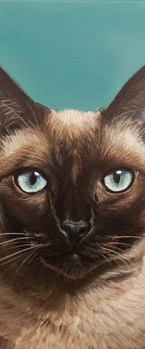 Elegant Siamese Cat by Norma Beatriz Zaro