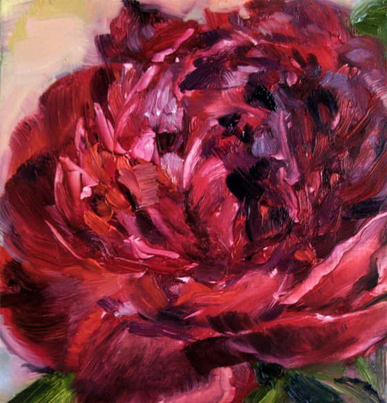 Red peony