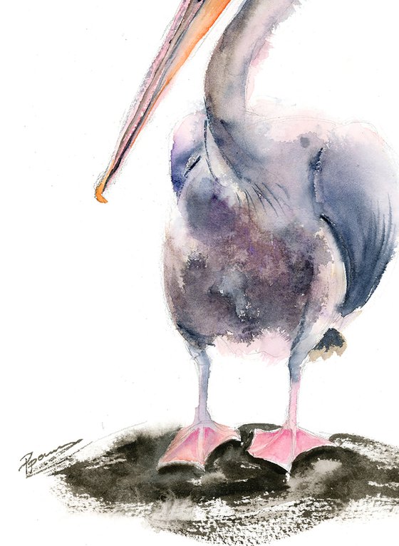 Set of 2 Pelicans  - Original Watercolor Paintings