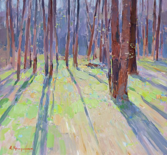 Spring in the Forest