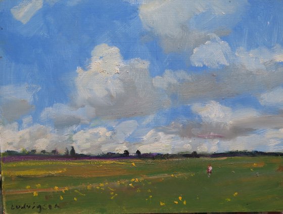 Summer Meadow