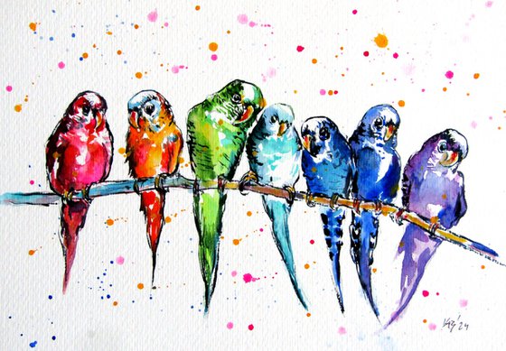 Parrots