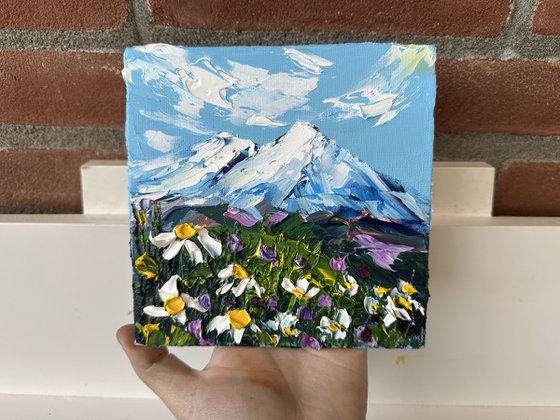 Daisies in the mountains