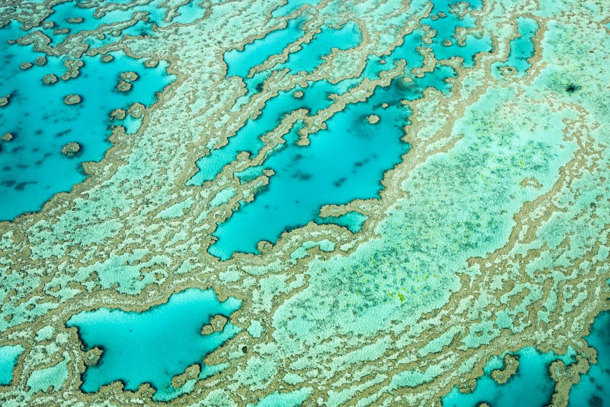 Natural Abstracts - Great Barrier Reef Number 5 by Ken Skehan