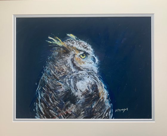 Owl