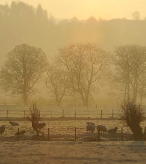 Grasmere, Lake District by Russ Witherington